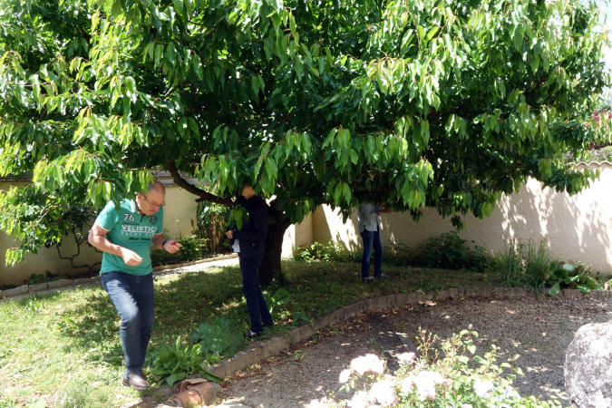 Luberon_fin-mai_2015_14
