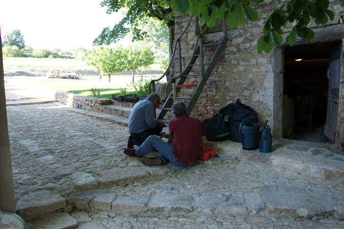 Luberon_fin-mai_2015_29