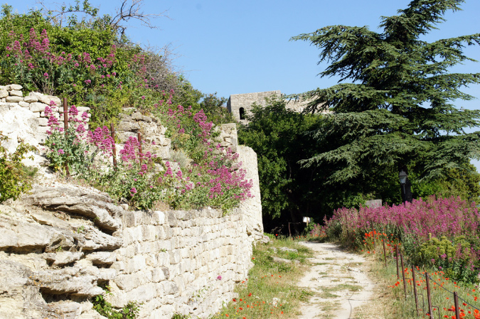 Luberon_fin-mai_2015_65