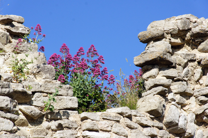 Luberon_fin-mai_2015_66