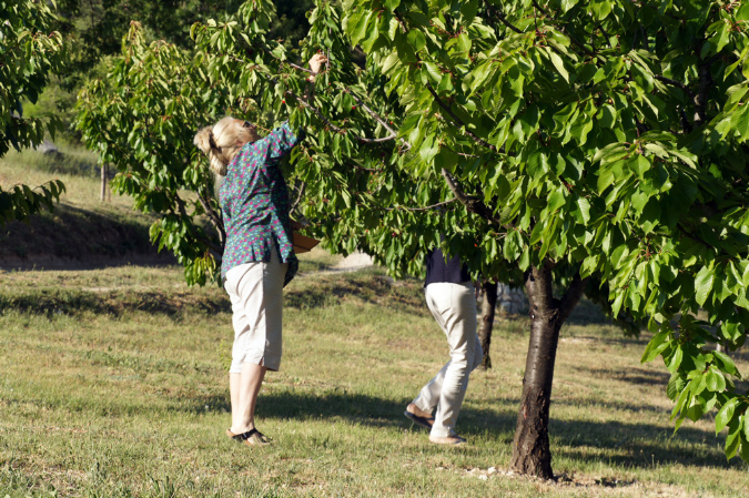 Luberon_fin-mai_2015_94
