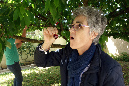 Luberon_fin-mai_2015_12
