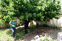 Luberon_fin-mai_2015_14