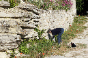 Luberon_fin-mai_2015_63