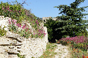 Luberon_fin-mai_2015_65