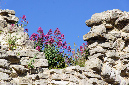 Luberon_fin-mai_2015_66