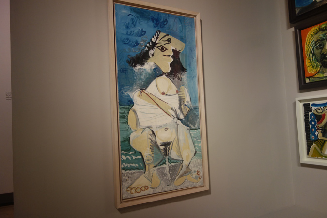 31_decembre_2015_Picasso_13