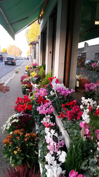 1_novembre_2015_07