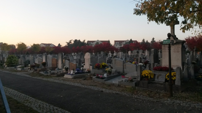 1_novembre_2015_11