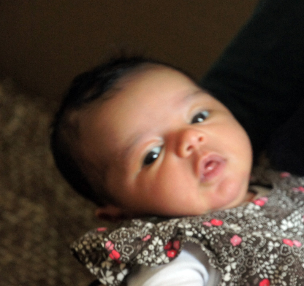 Tessa_13nov_2011_04