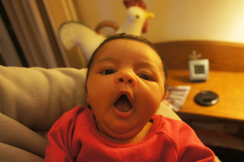 Tessa_22nov_2011_03