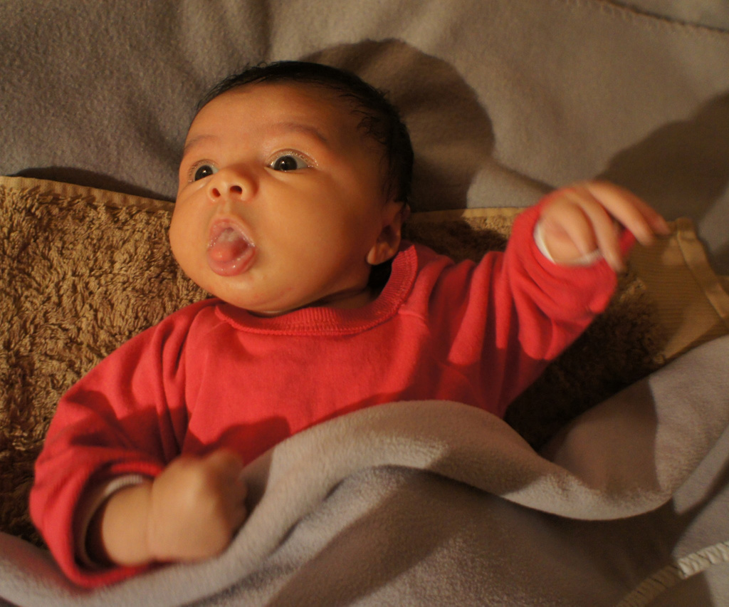 Tessa_22nov_2011_23