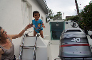 Ronce_aout_2012_065