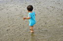 Ronce_aout_2012_105
