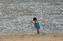 Ronce_aout_2012_111
